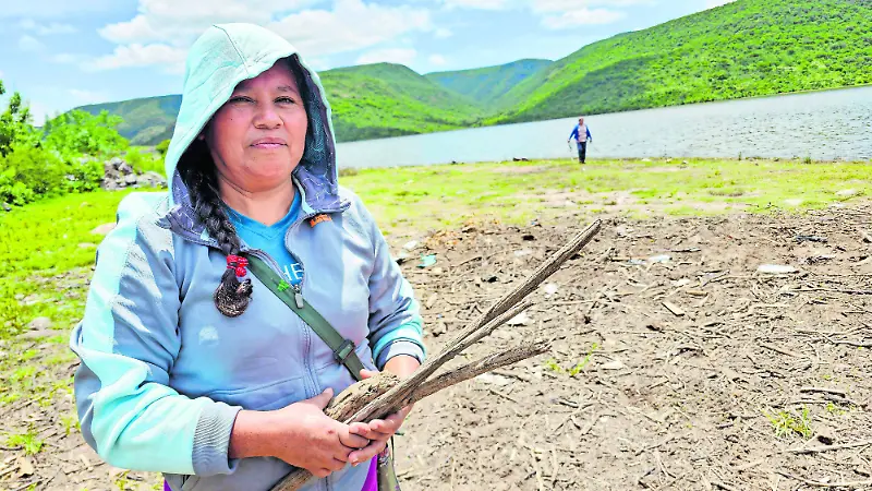 Elena entre el campo y la leña